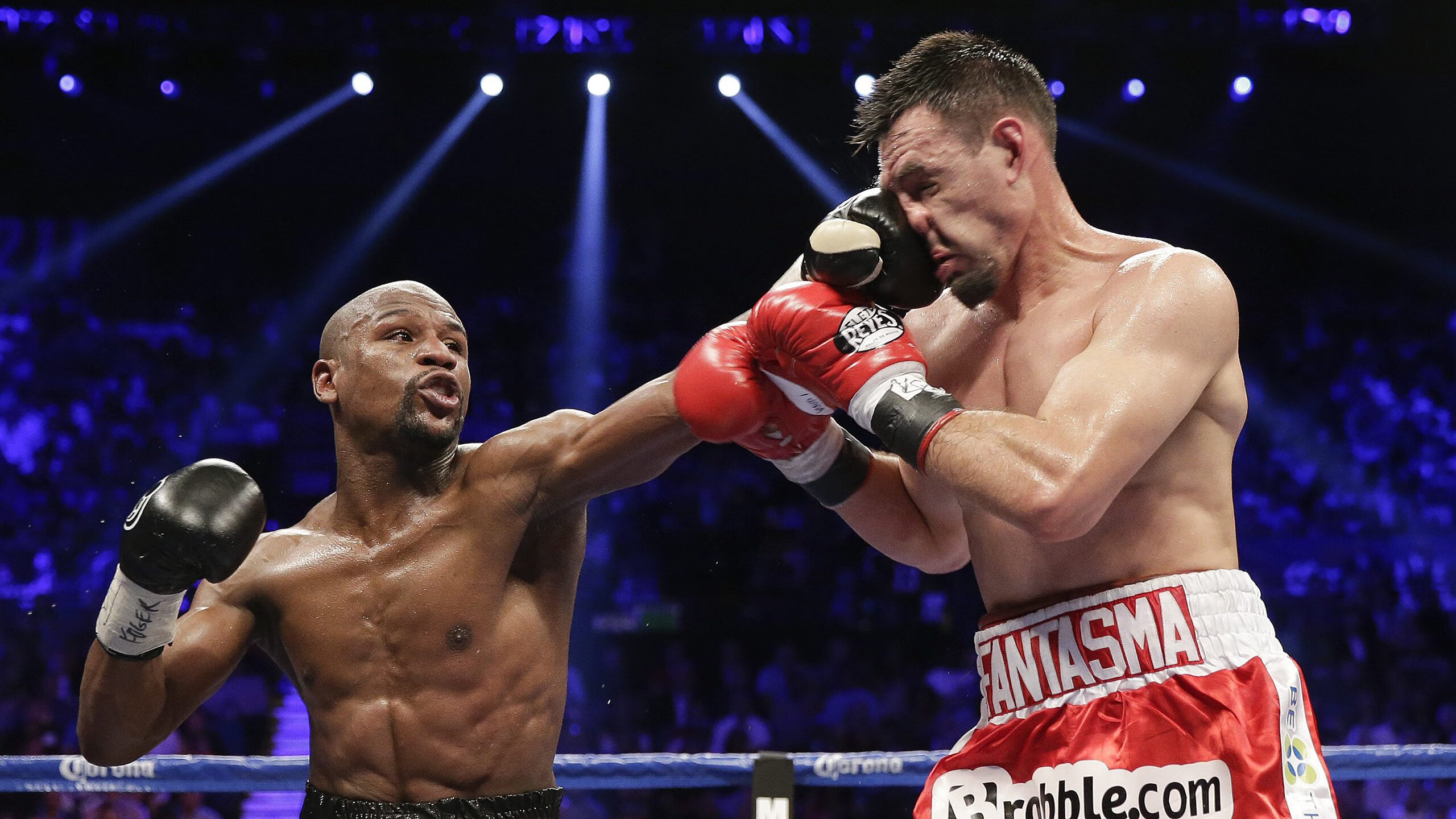 世界杯:球员家属团成为场边另一群主角 摄像机频频给镜头